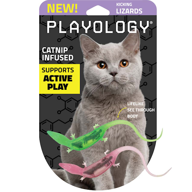 Lizard cat toy online